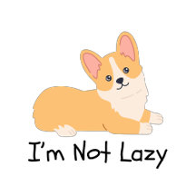 I am not lazy