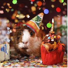 Birthday and Greeting Cards