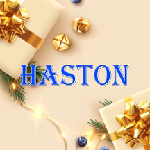 Haston_Name T-Shirt