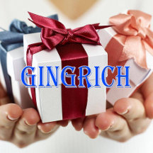 Gingrich_Name T-Shirt