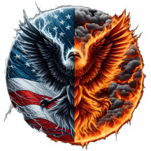 The Divided States of America