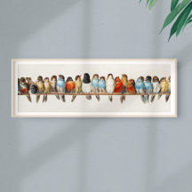 A Perch of Birds Vintage Finch Illustration, 1880