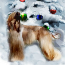 Afghan Hound Christmas