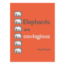 ELEPHANT inspiration