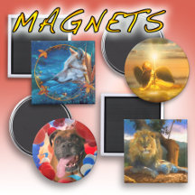 MAGNETS 