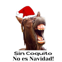 Ay Que Rico Este Coquito!