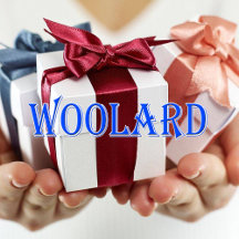 Woolard_Name T-Shirt