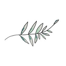 Elegant Flat Modern Botanical Chic Watercolor