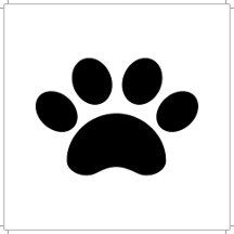 Classic Black & White Paw Print Tribute