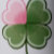 CloverUncommon