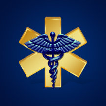 Blue Medical 3D Caduceus Gold Cross