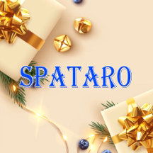 Spataro_Name T-Shirt