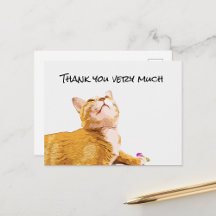 Ginger cat Collection