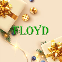 Floyd Name T-Shirt