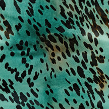 Turquoise Blue Sky Aqua