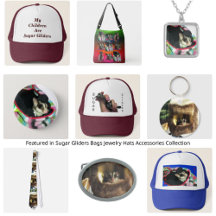 Sugar Gliders Bags Jewelry Hats Accessories