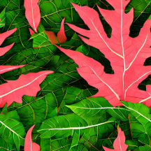 Garden Leaves Autumn Pattern