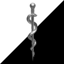 Classy Noble Rod of Asclepius Medical Silver
