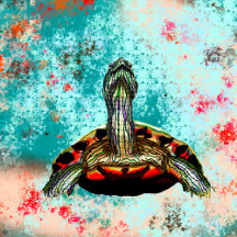 Painted Turtle