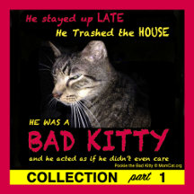 Bad Kitty Collection 1 by MomCat.org