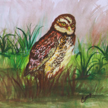 Owl in nature watercolor art 