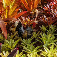 Pacific Islands Inspired