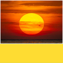 Sun Yellow Solid Color