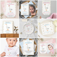One Silly Goose 1st Birthday Party Collection