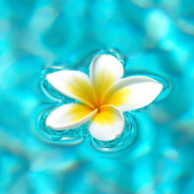 Tropical Bath Towels