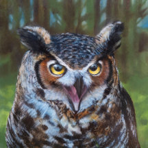 BIRDS - SCREECHING OWL COLLECTION