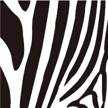 Black and White Zebra Stripes