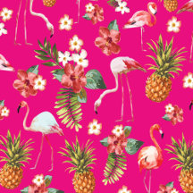 Tropical Flamingoes