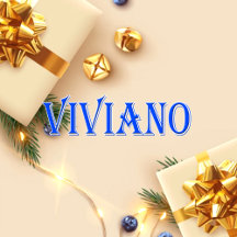 Viviano_Name T-Shirt