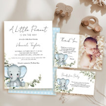 Elephant Boy Theme Baby Shower