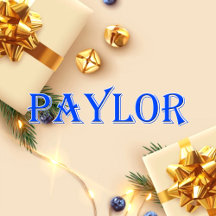 Paylor_Name T-Shirt