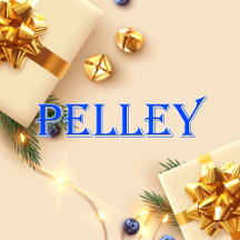 Pelley_Name T-Shirt