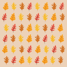 Fall Season   Clothes and Accessories