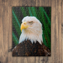 Bald Eagle Puzzles