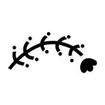 Flower Wilting in the Sunshine