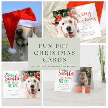 Merry Christmas Pet Photo Holiday