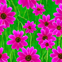 Bright Green and Pink Cosmo Pattern