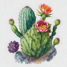 Nature   Botanical Plant   Flowers