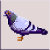 PixelPigeon