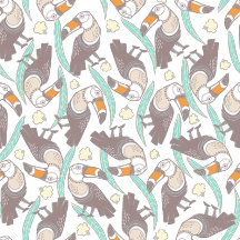 Exotic toucans
