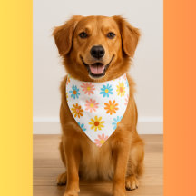 Paws & Personality: Pet Accessories 🐾✨