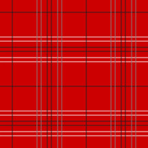 Red Plaid Raider Baby