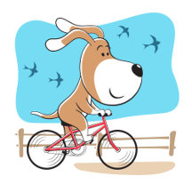 Cute Funny Dog Riding the Bicycle
