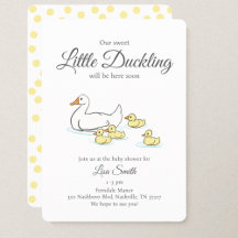 Mother Duck and Ducklings