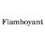 FlamboyantClothes