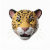 Felino